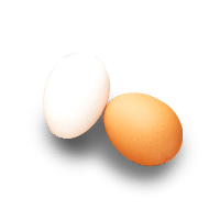 Egg White by SKINFOOD